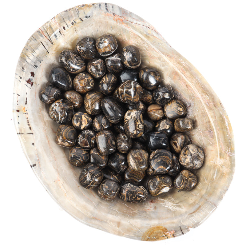 Strombolite Tumbled Crystal Tumbled Crystal Magic