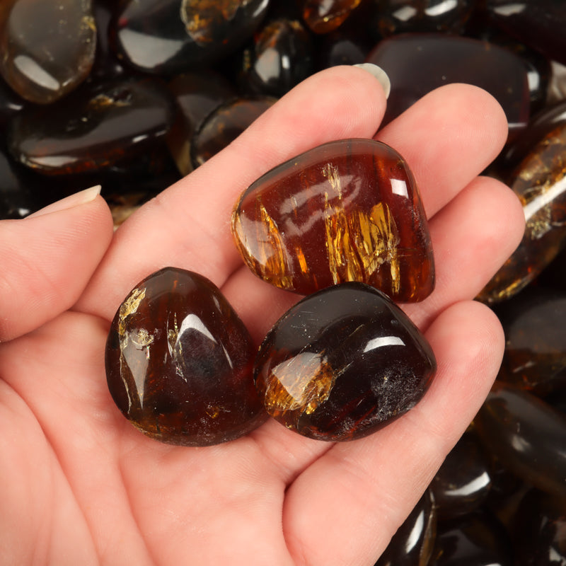 Sumatran Amber Tumbled Crystal Tumbled Aries