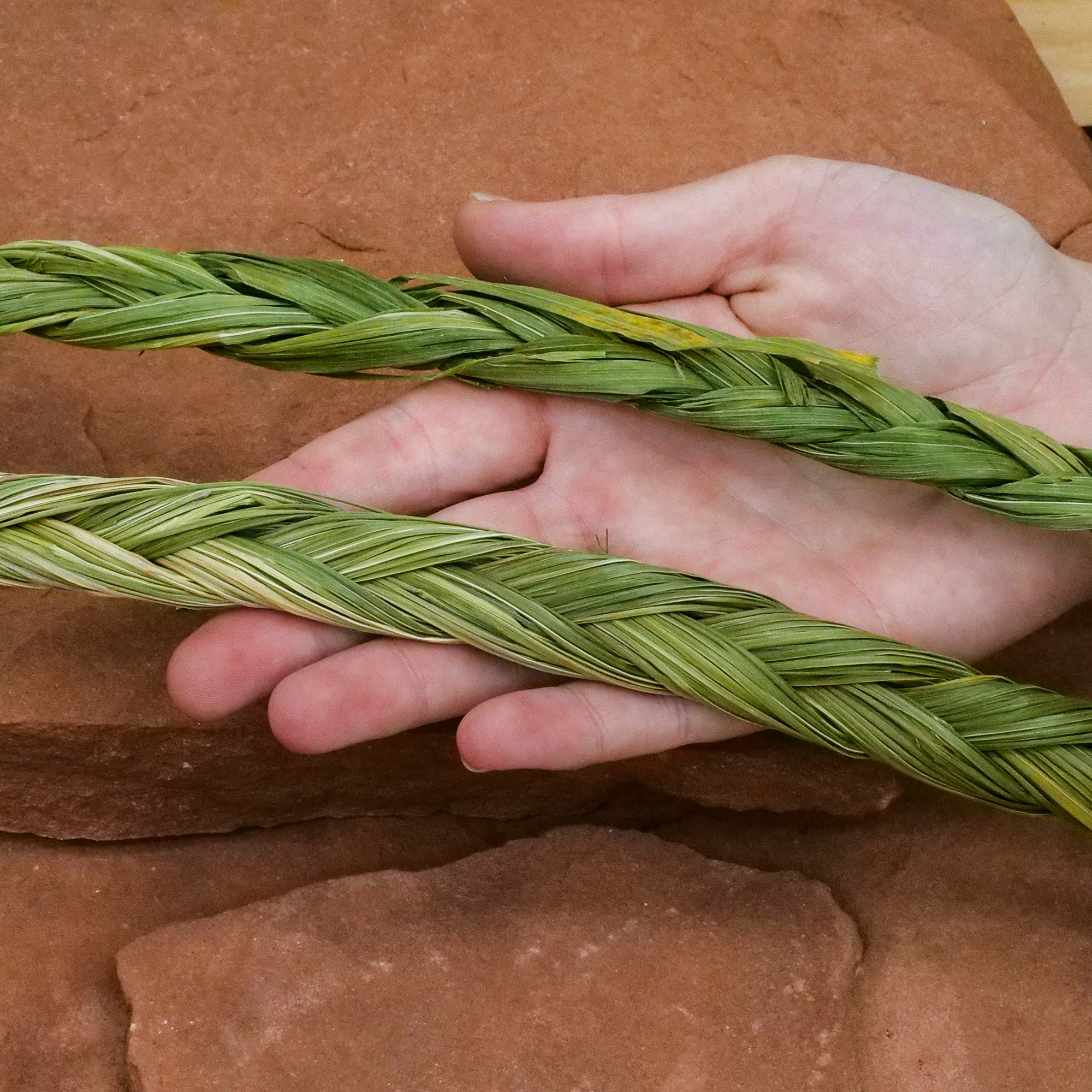 Sweetgrass Braid Incense Full Moon Farms