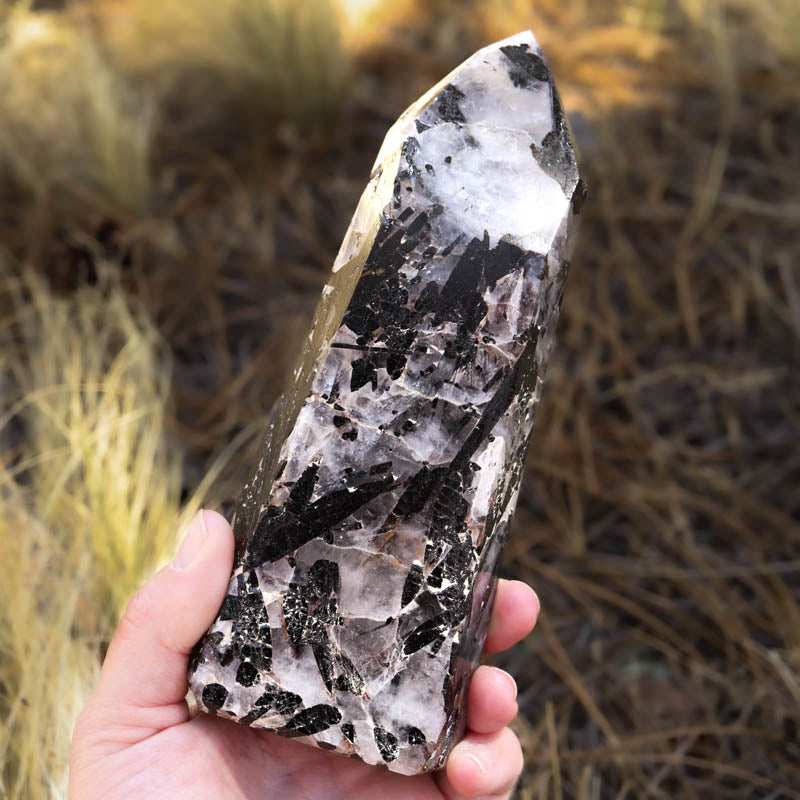 Tourmalinated Quartz Point Crystal Point Crystal Magic