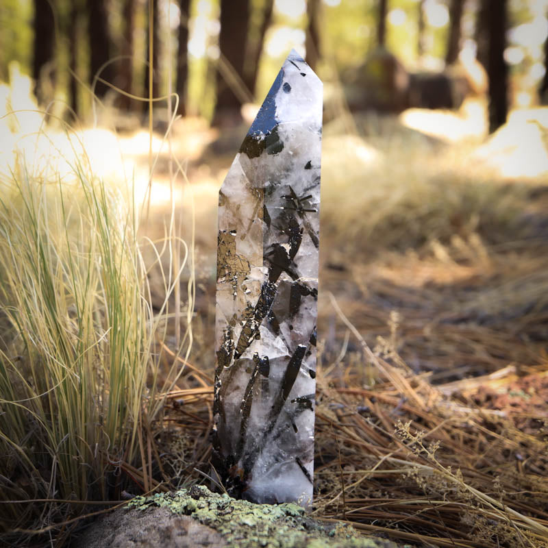 Tourmalinated Quartz Point Crystal Point Crystal Magic