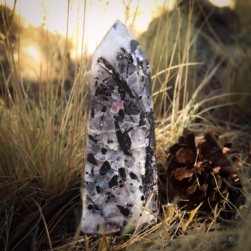 Tourmalinated Quartz Point Crystal Point Crystal Magic