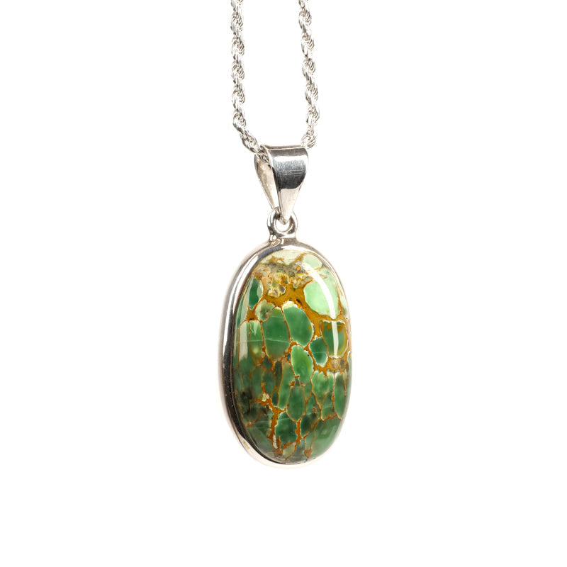 Variscite Pendant Jewelry: Pendant VideoTron