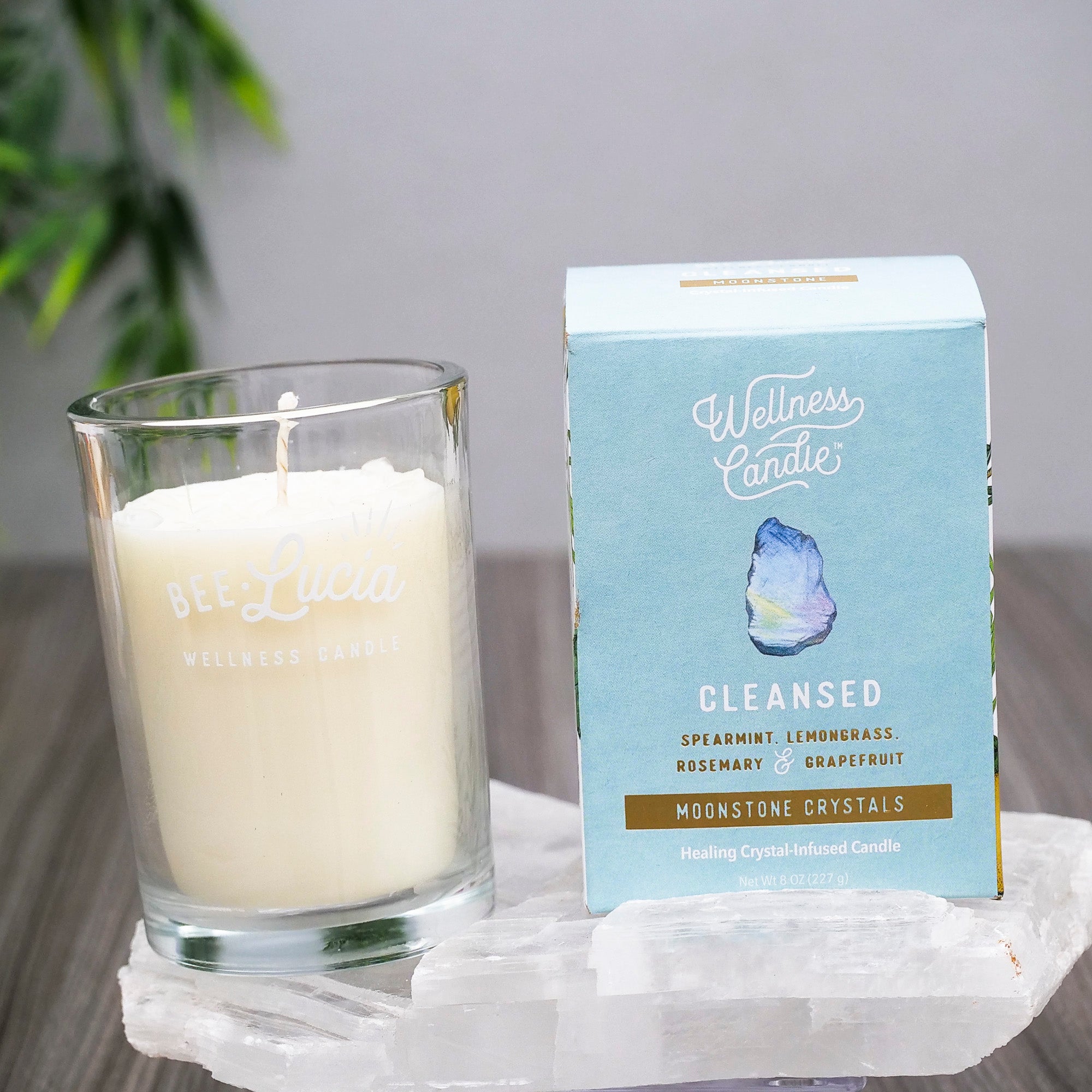 Bee Lucia Wellness Candles Candle Bee Lucia Cleansed 8oz Glass Jar