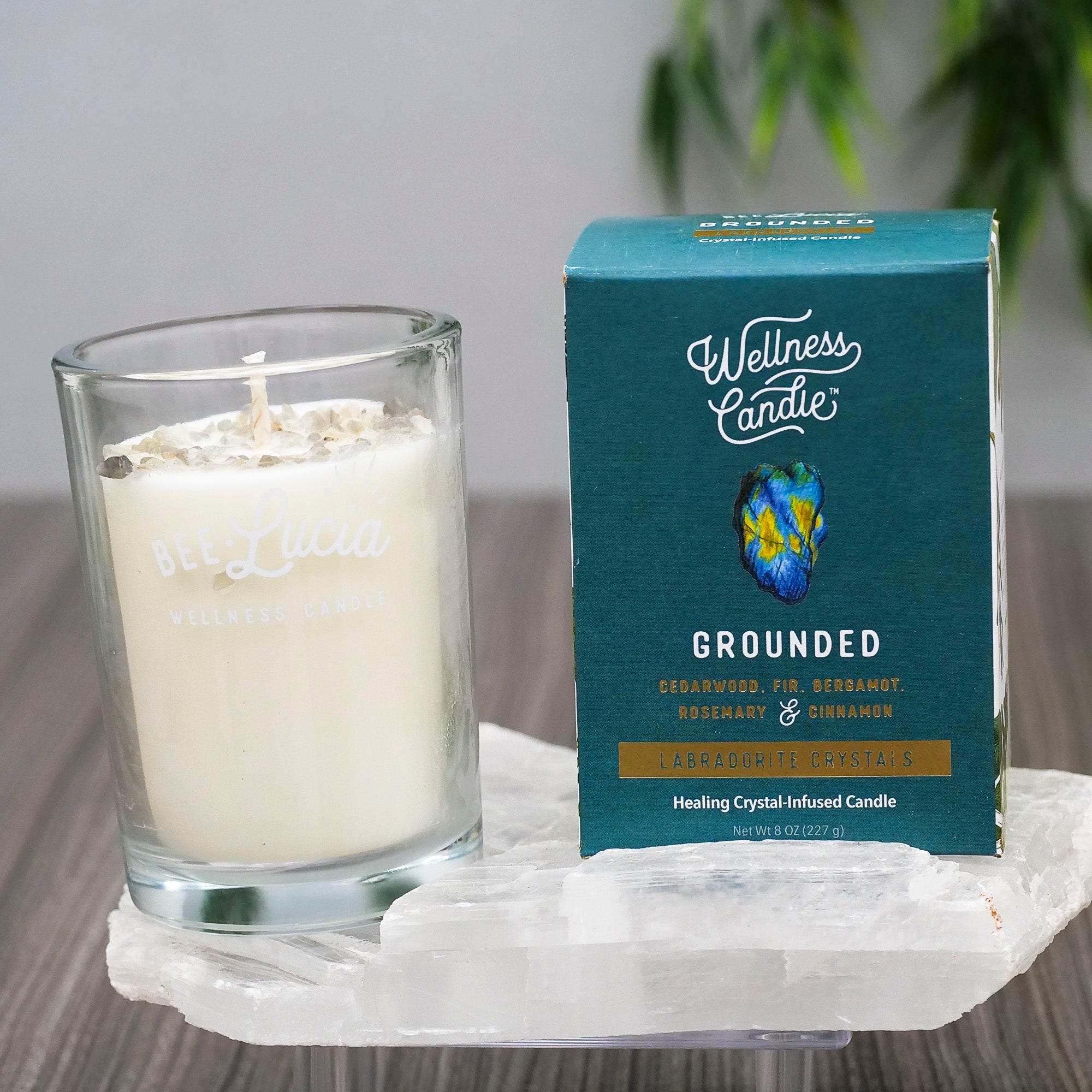 Bee Lucia Wellness Candles Candle Bee Lucia Grounded 8oz Glass Jar