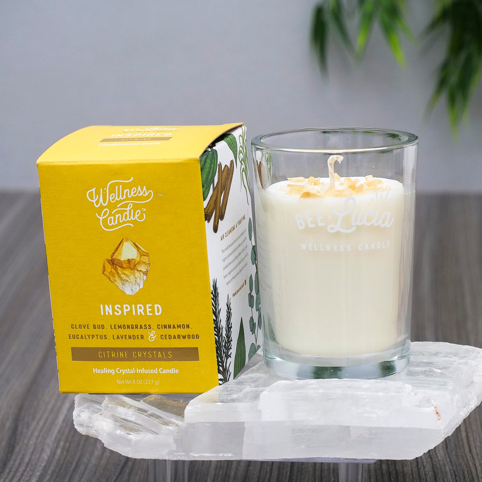 Bee Lucia Wellness Candles Candle Bee Lucia Inspired 8oz Glass Jar