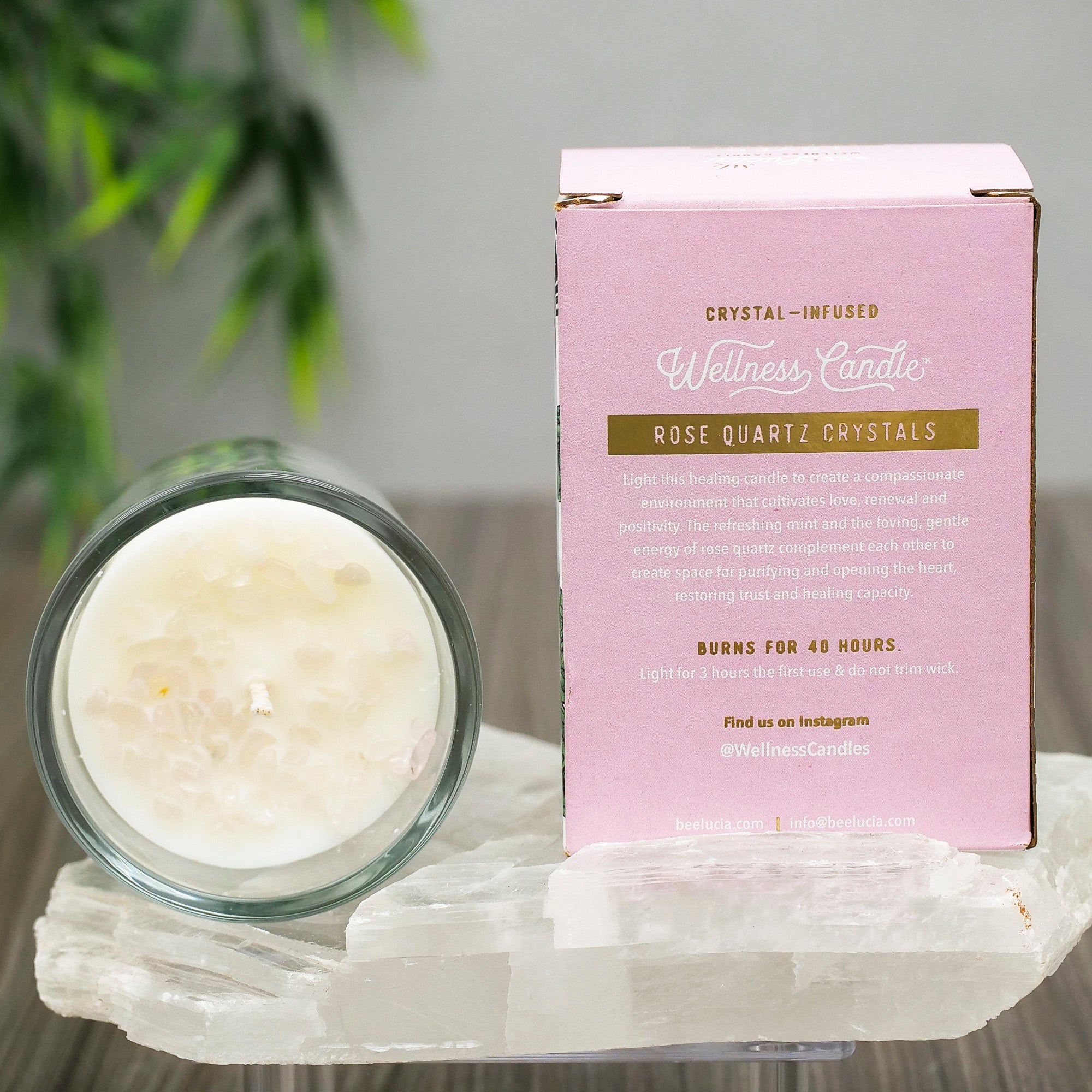 Bee Lucia Wellness Candles Candle Bee Lucia Loved 8oz Glass Jar