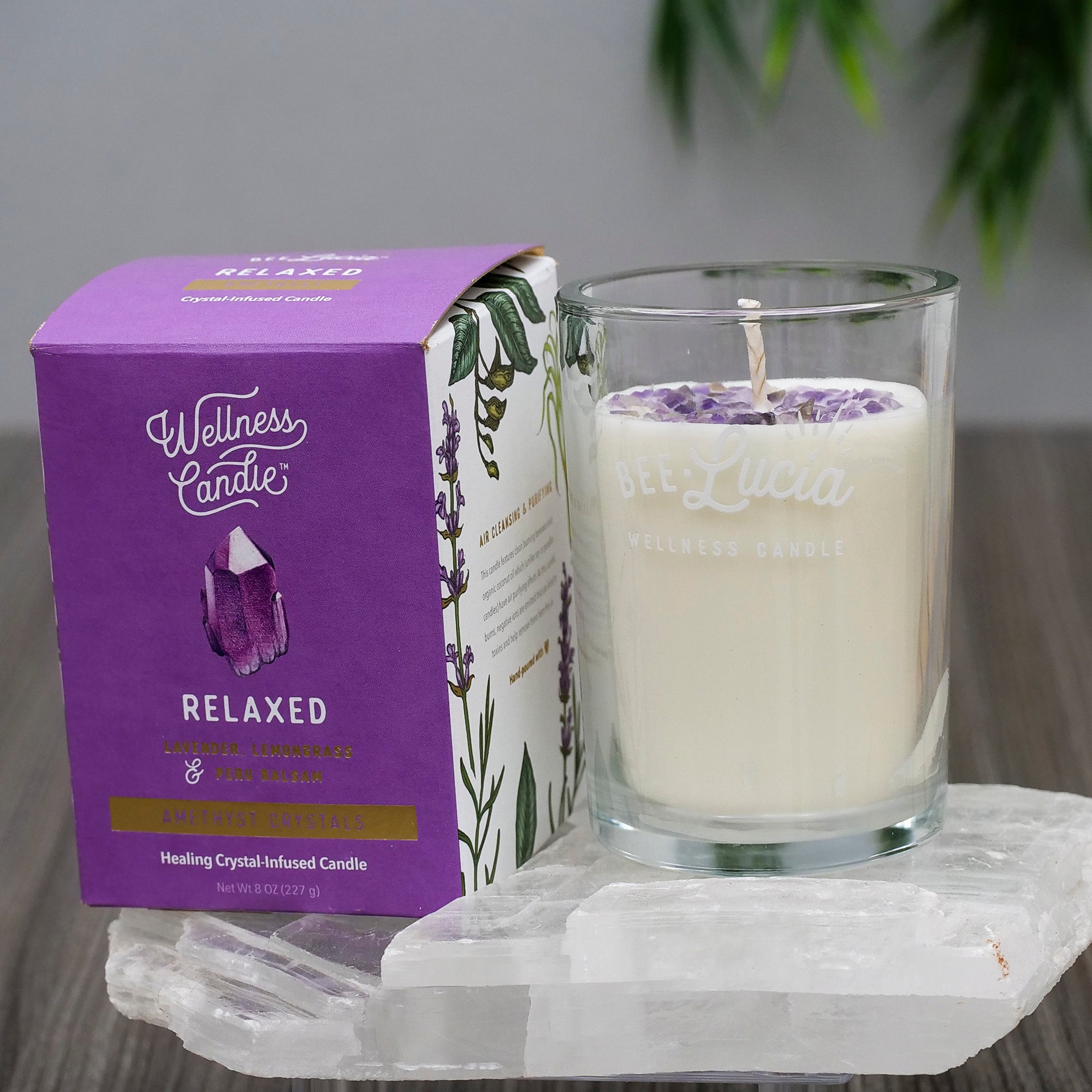 Bee Lucia Wellness Candles Candle Bee Lucia Relaxed 8oz Glass Jar