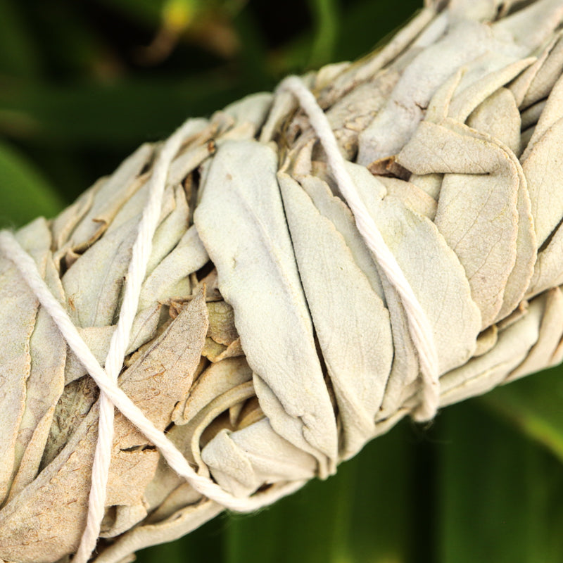 California White Sage Wand Incense Aries 