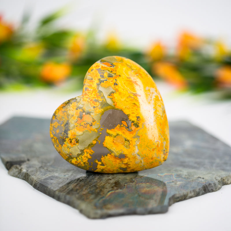 Bumblebee Jasper Heart Crystal Heart Cancer Sign