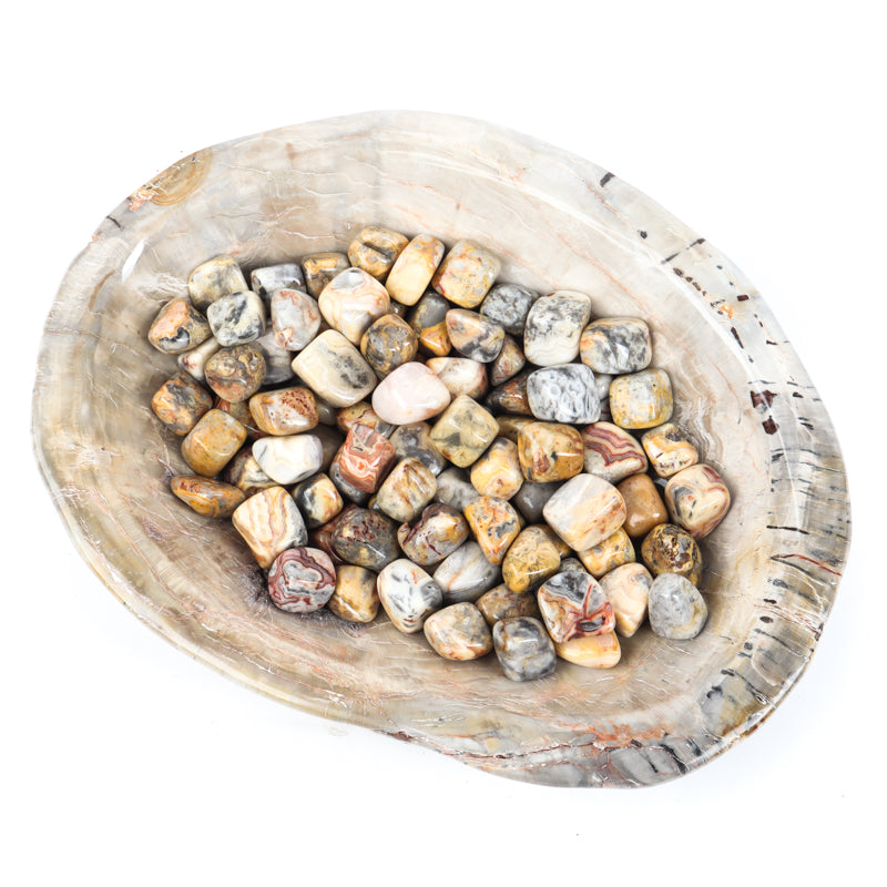Crazy Lace Agate Tumbled Crystal Tumbled Aries