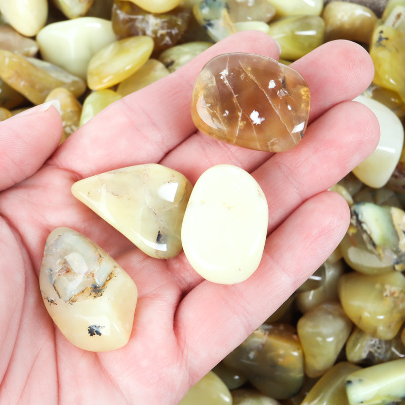 Yellow Opal Tumbled Crystal Tumbled Crystal Magic