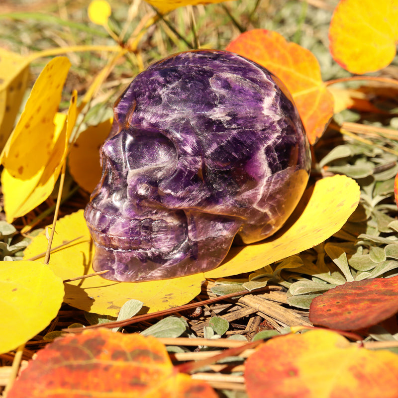 Amethyst Chevron Skull
