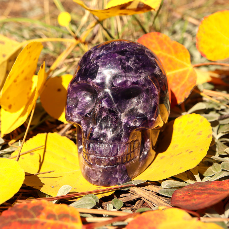 Amethyst Chevron Skull
