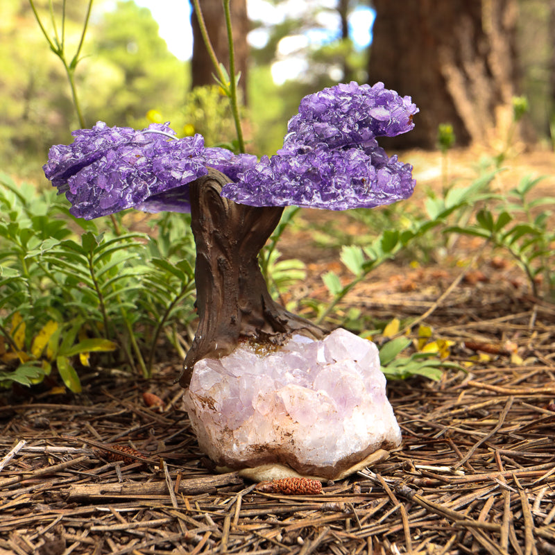 Amethyst Bonsai Tree