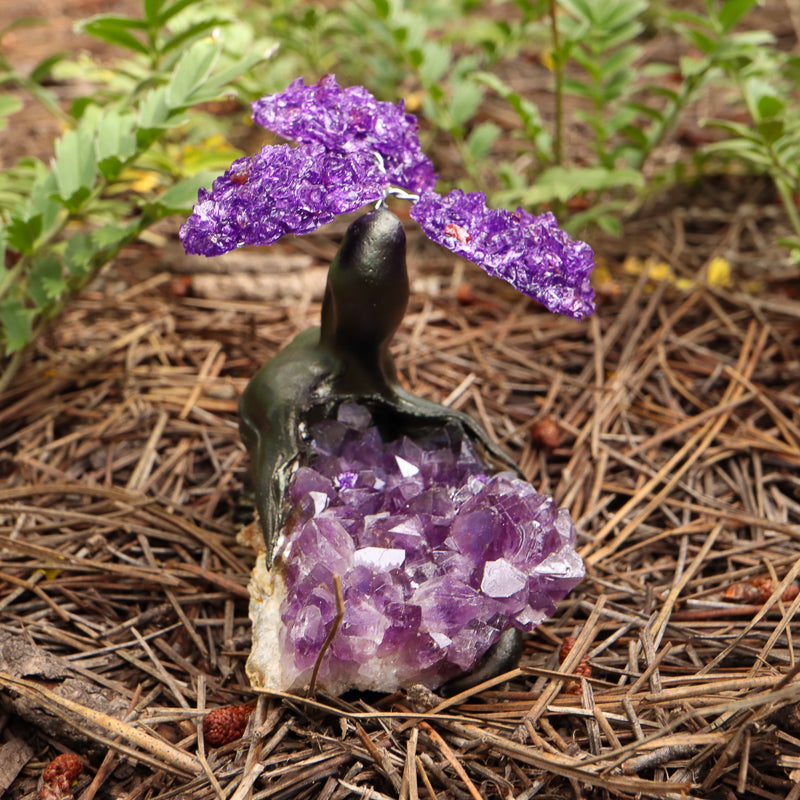 Amethyst Bonsai Tree