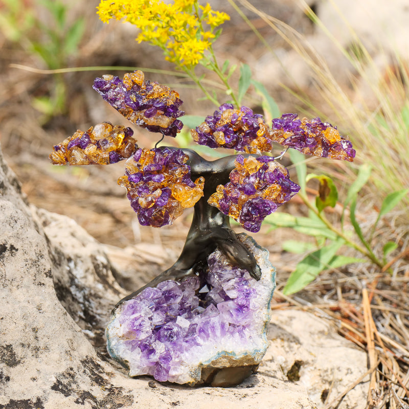 Amethyst Citrine Tree