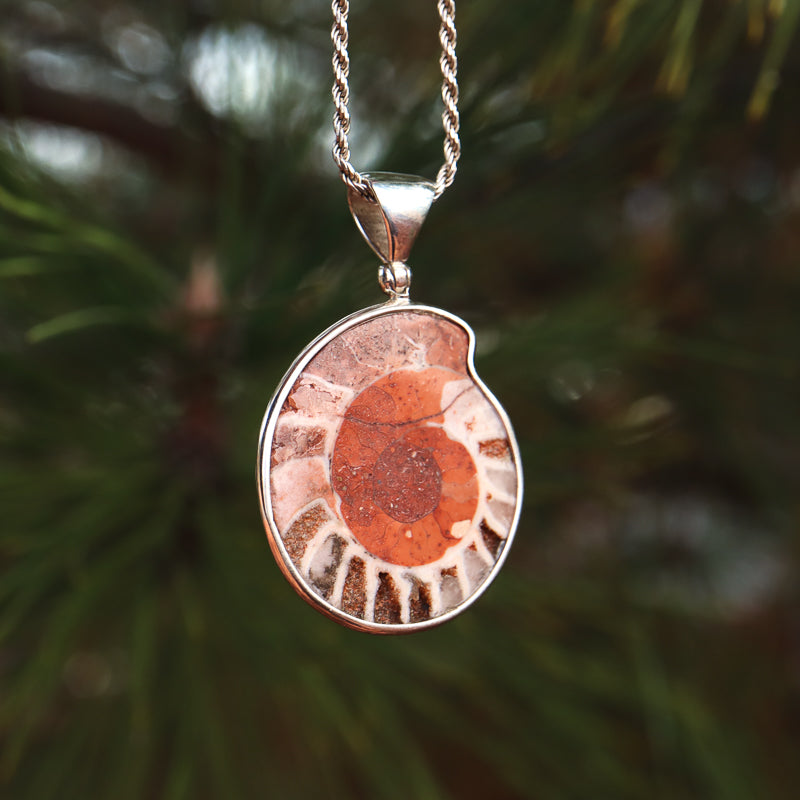 Ammonite Pendant