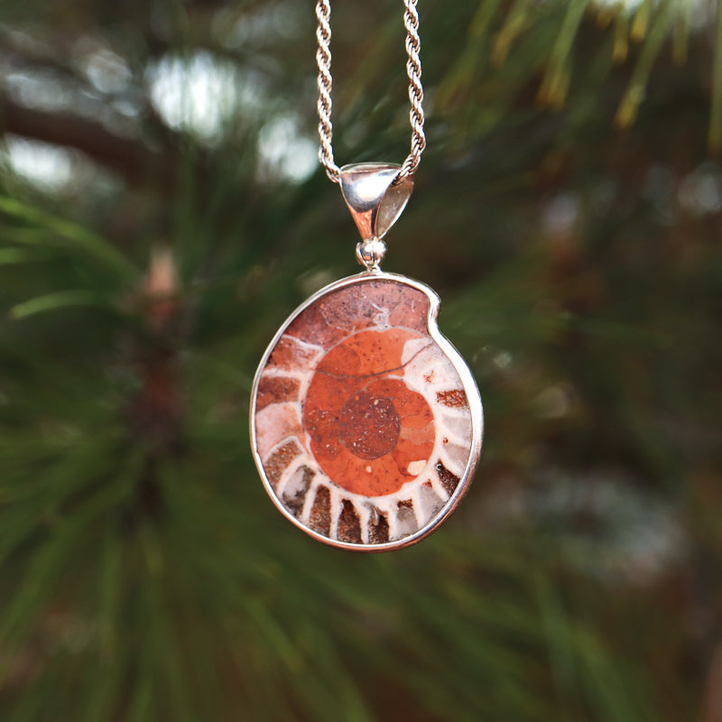 Ammonite Pendant