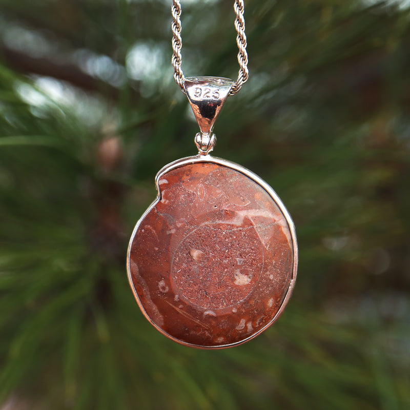 Ammonite Pendant
