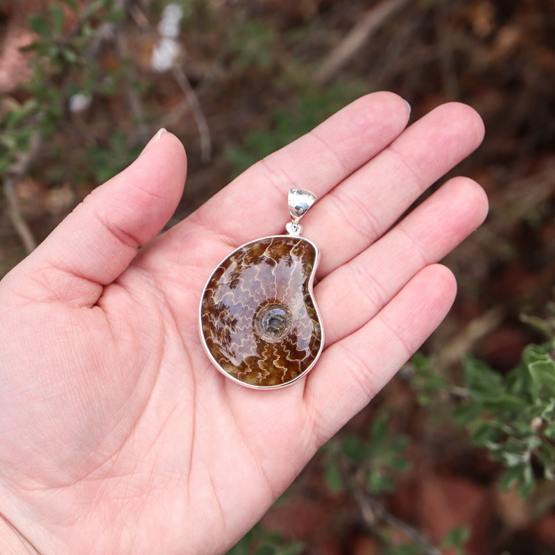 Ammonite Nautilus Pendant