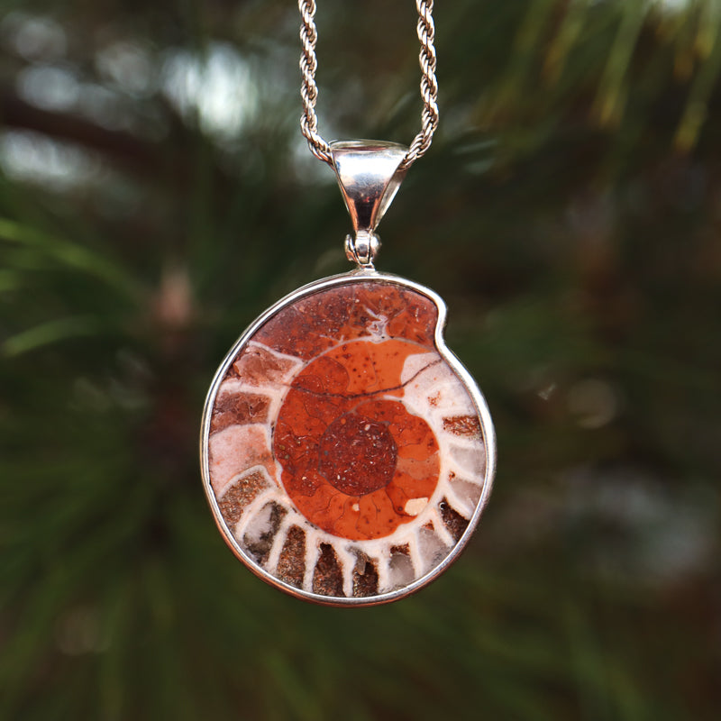 Ammonite Pendant