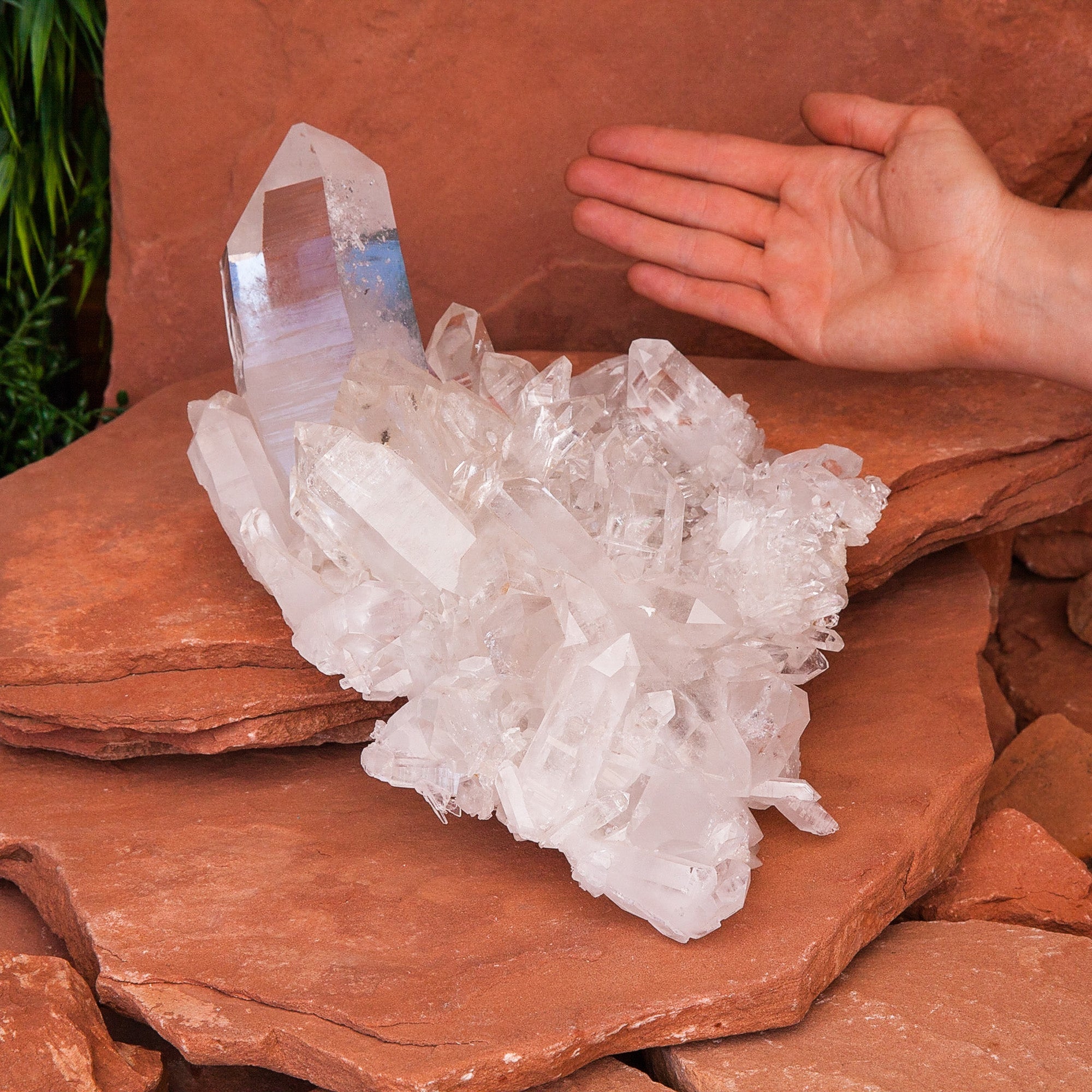 Clear Quartz Cluster Crystal Cluster Crystal Magic