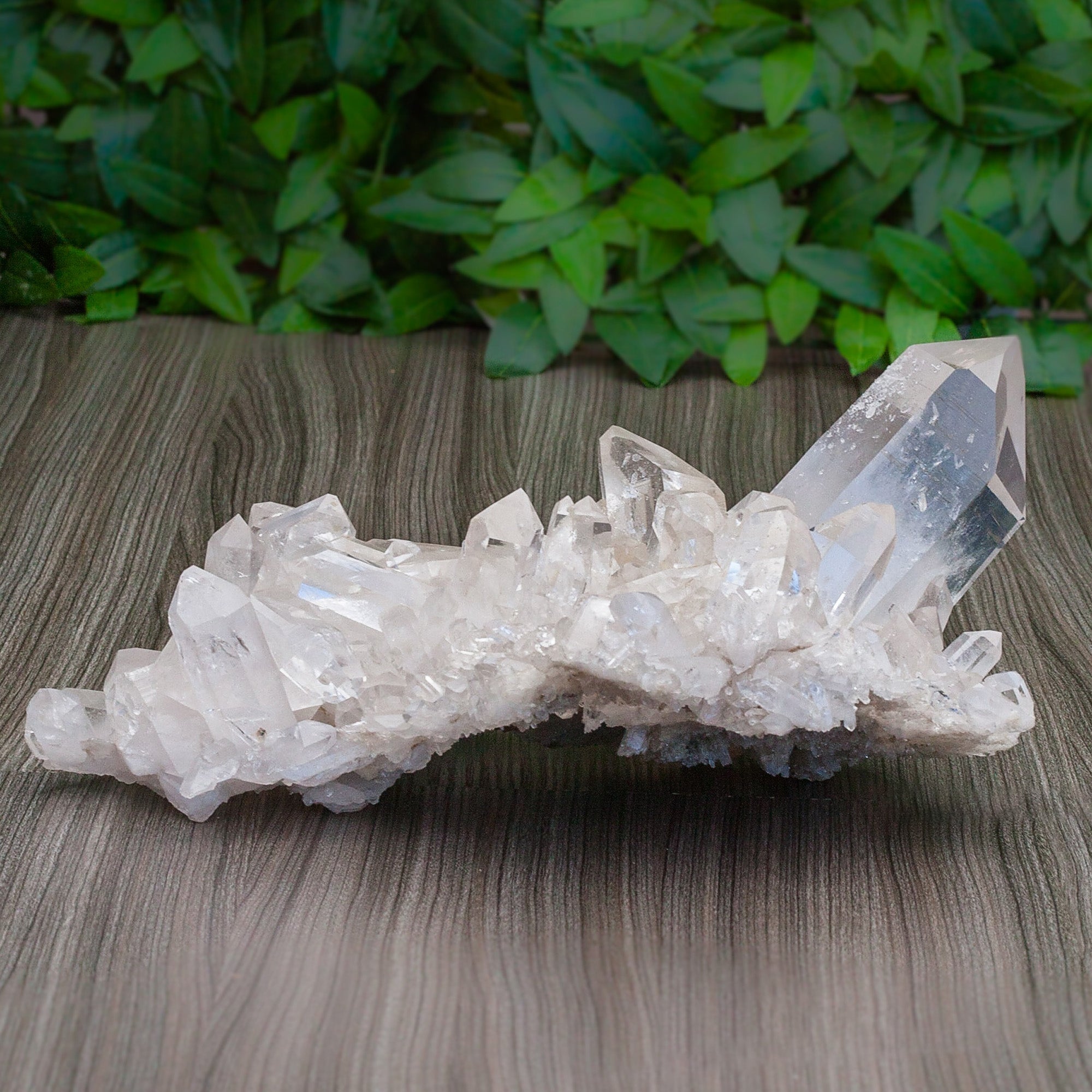 Clear Quartz Cluster Crystal Cluster Crystal Magic