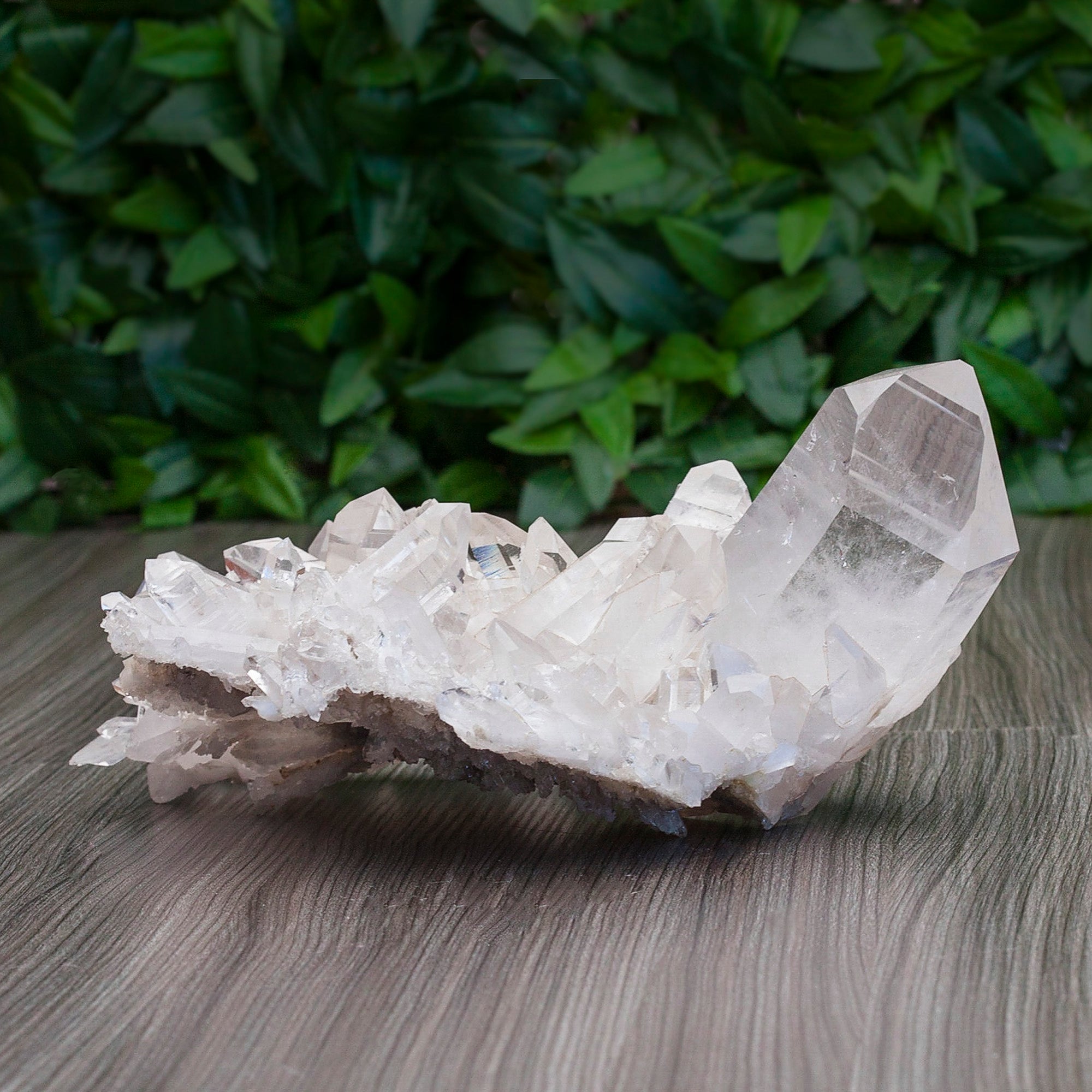 Clear Quartz Cluster Crystal Cluster Crystal Magic