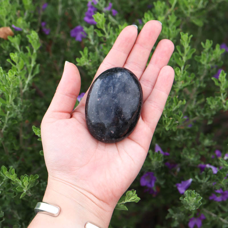 Astrophyllite Palm Stone