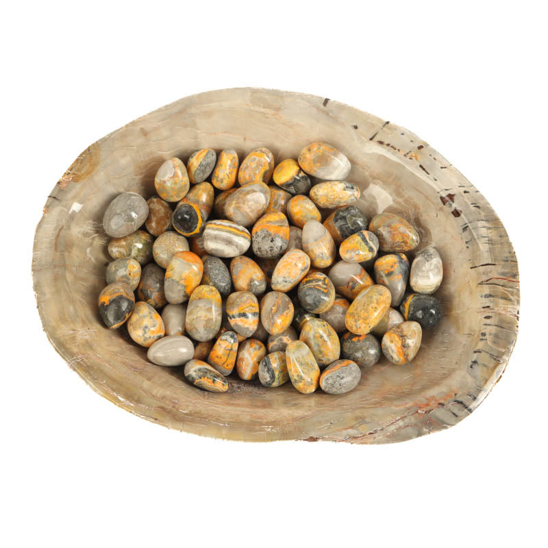 Bumblebee Jasper Tumbled Crystal Tumbled Cancer Sign