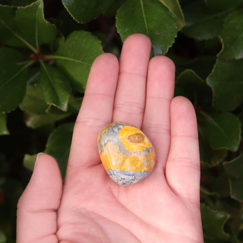 Bumblebee Jasper Tumbled Crystal Tumbled Cancer Sign