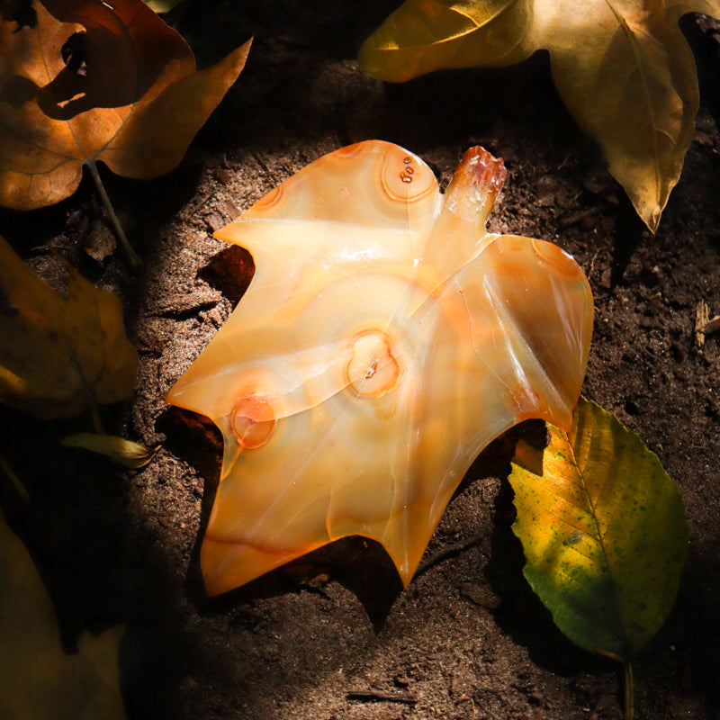 Carnelian Leaf Crystal Carvings Aries