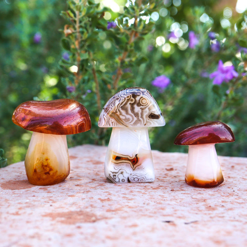 Carnelian Carved Mushroom Crystal Carvings Crystal Magic