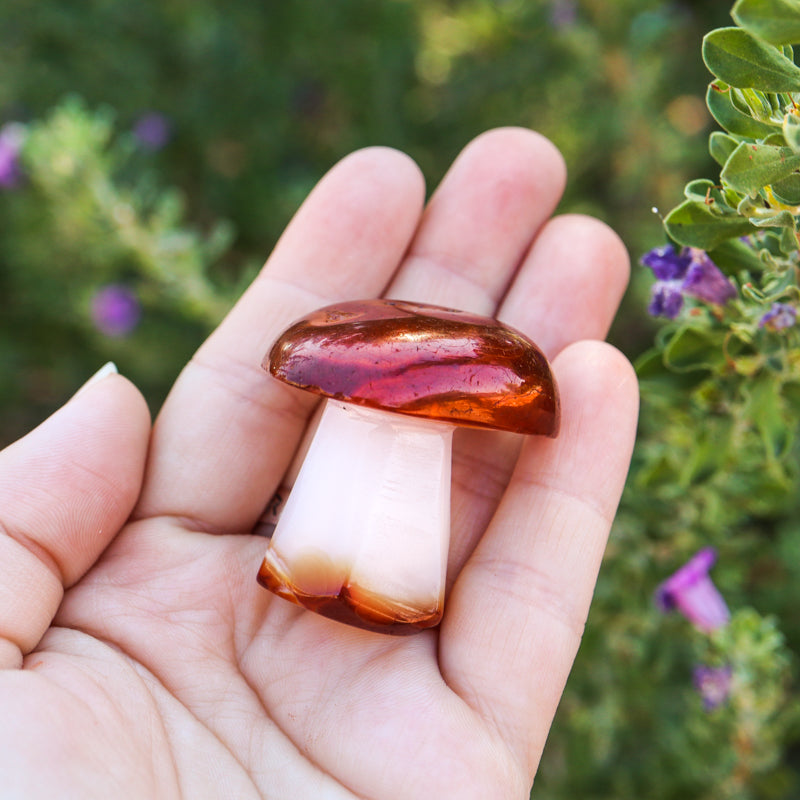 Carnelian Carved Mushroom Crystal Carvings Crystal Magic Small