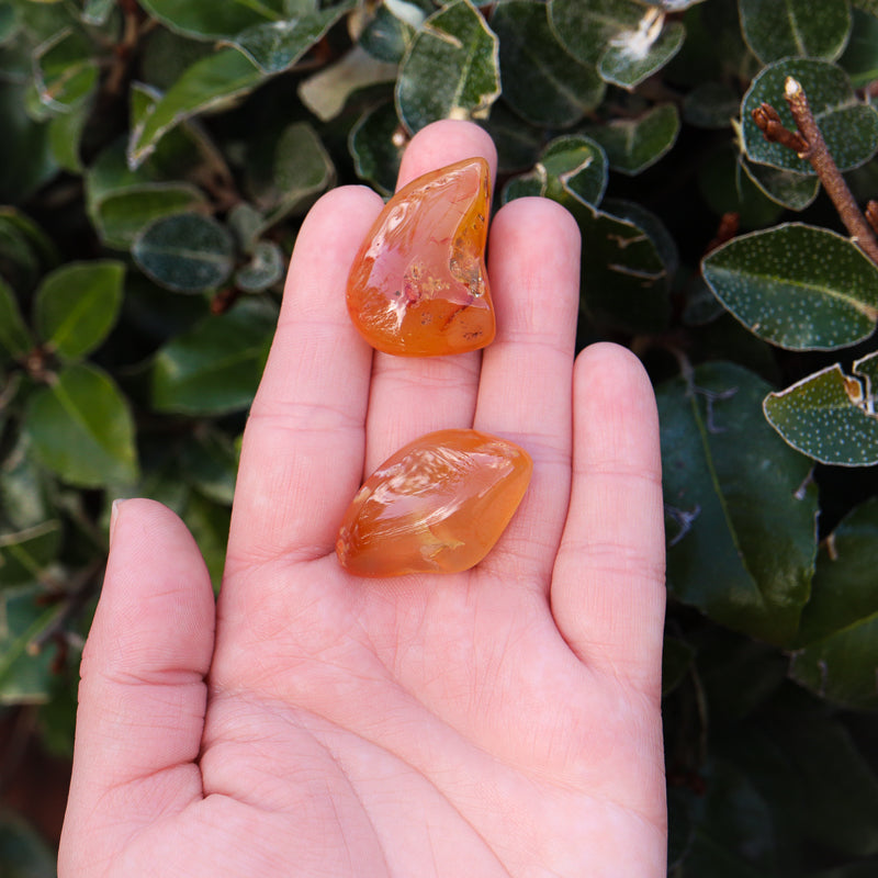 Carnelian Tumbled Crystal Tumbled Aries