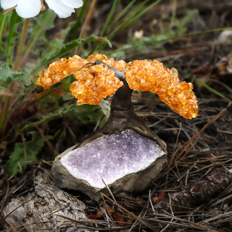 Citrine Tree