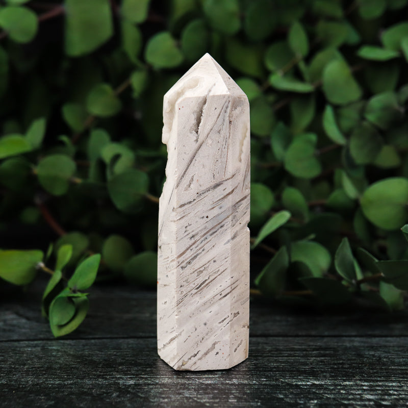 Crazy Lace Agate Point