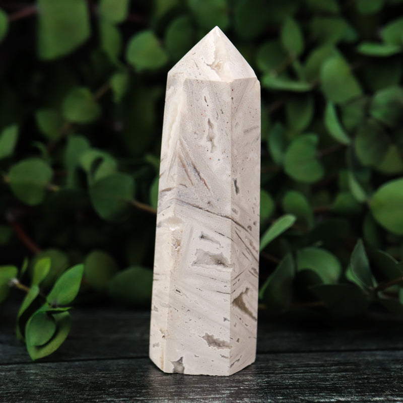 Crazy Lace Agate Point