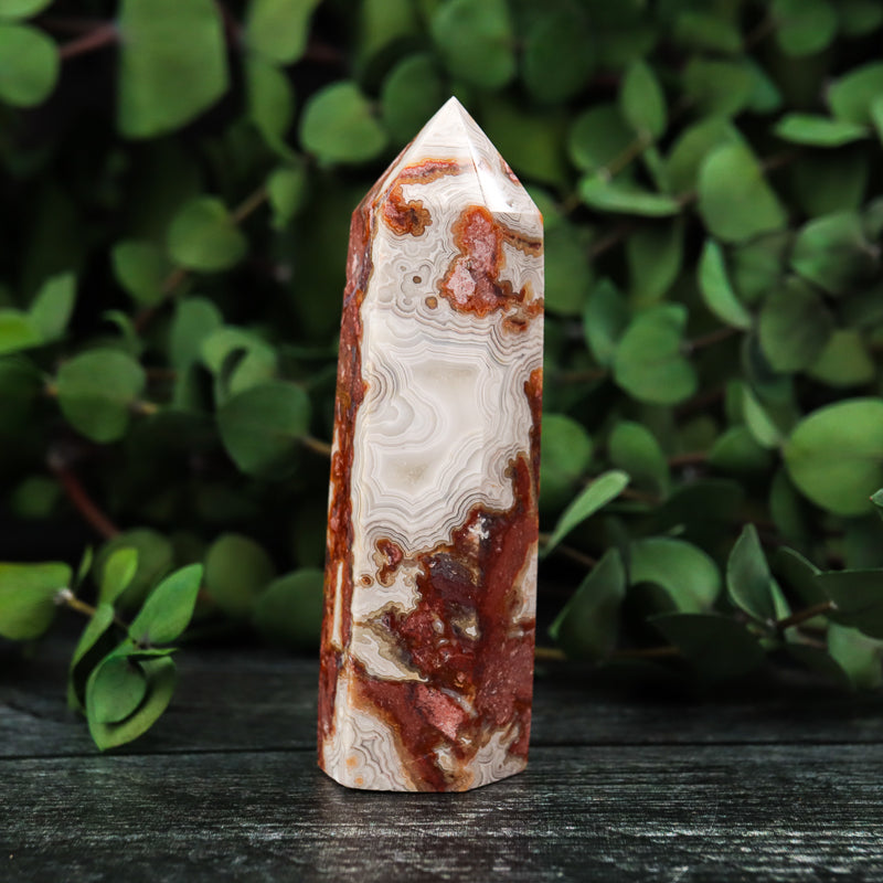 Red Crazy Lace Agate Point