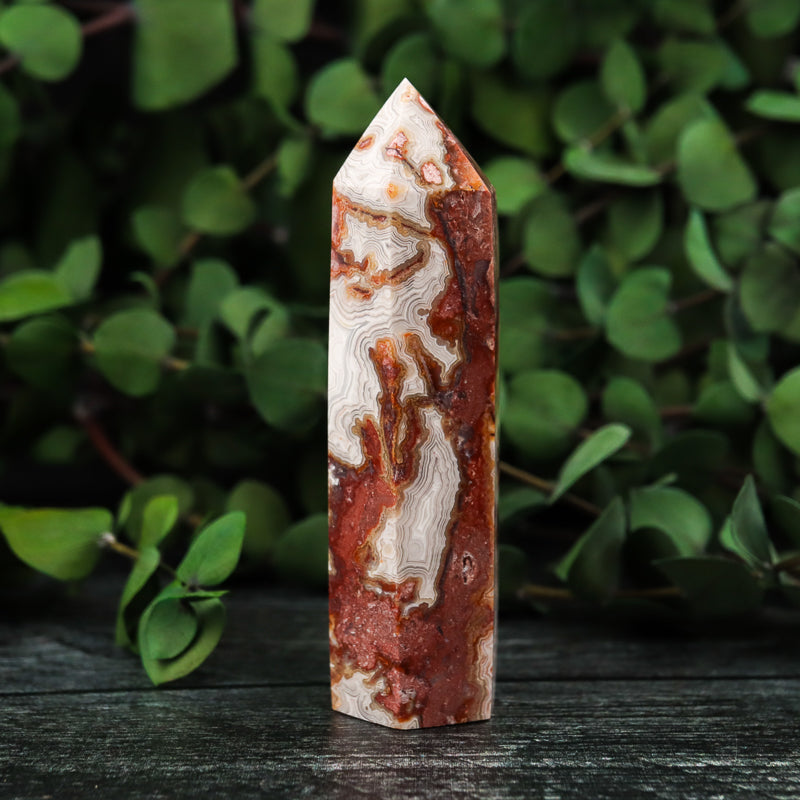 Red Crazy Lace Agate Point