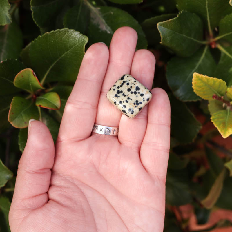 Dalmatian Jasper Tumbled Crystal Tumbled Crystal Magic