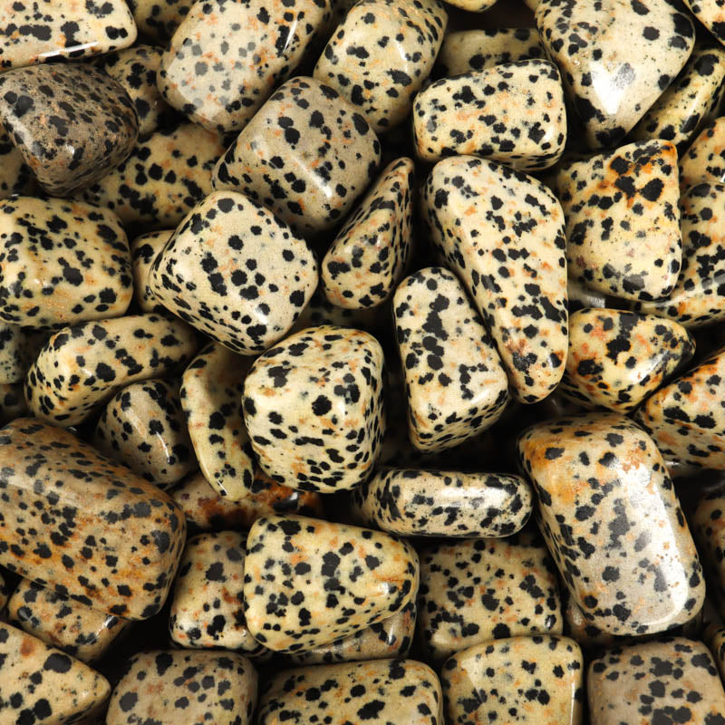 Dalmatian Jasper Tumbled Crystal Tumbled Crystal Magic