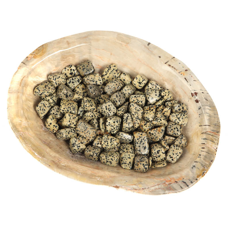 Dalmatian Jasper Tumbled Crystal Tumbled Crystal Magic