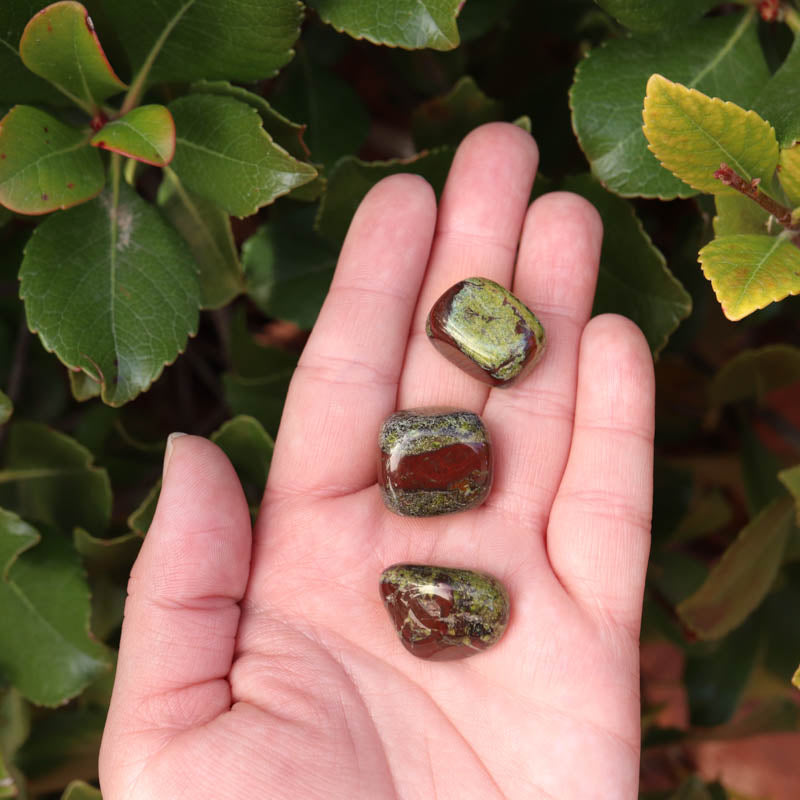 Dragons Blood Jasper Tumbled Crystal Tumbled Crystal Magic