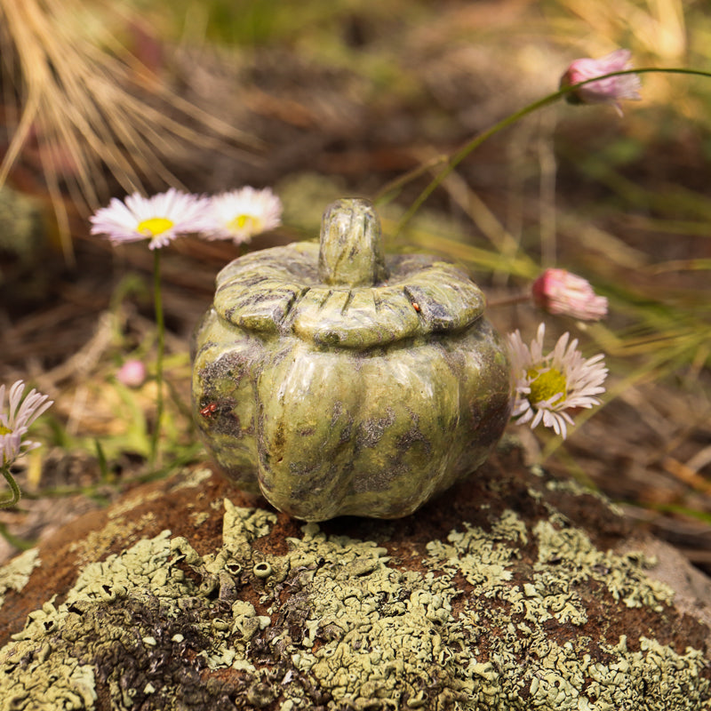 Dragons Blood Jasper Pumpkin