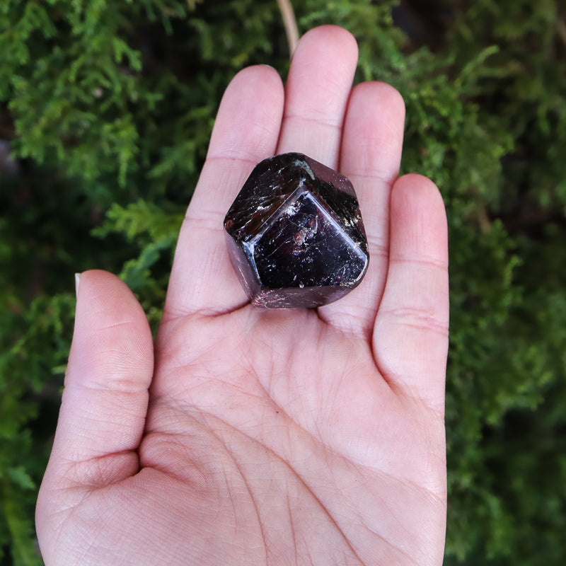 Garnet Tumbled Crystal Tumbled Crystal Magic Faceted