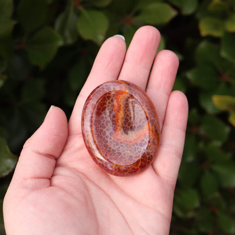 Fire Agate Palm Stone Crystal Palm Stones Aries