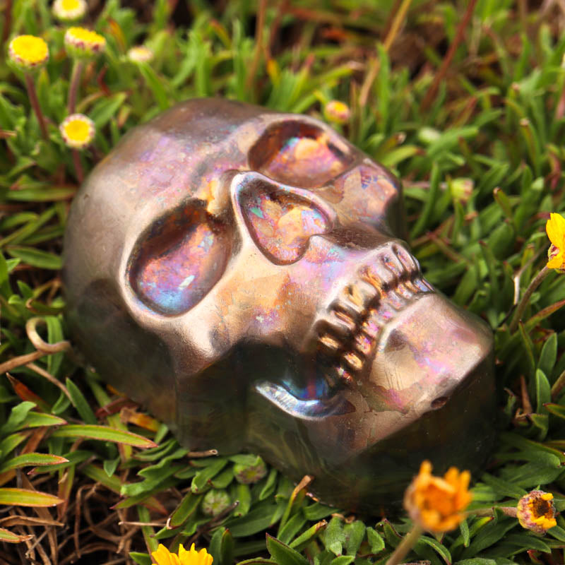 Bismuth Hollow Skull Crystal Skull Aquarius