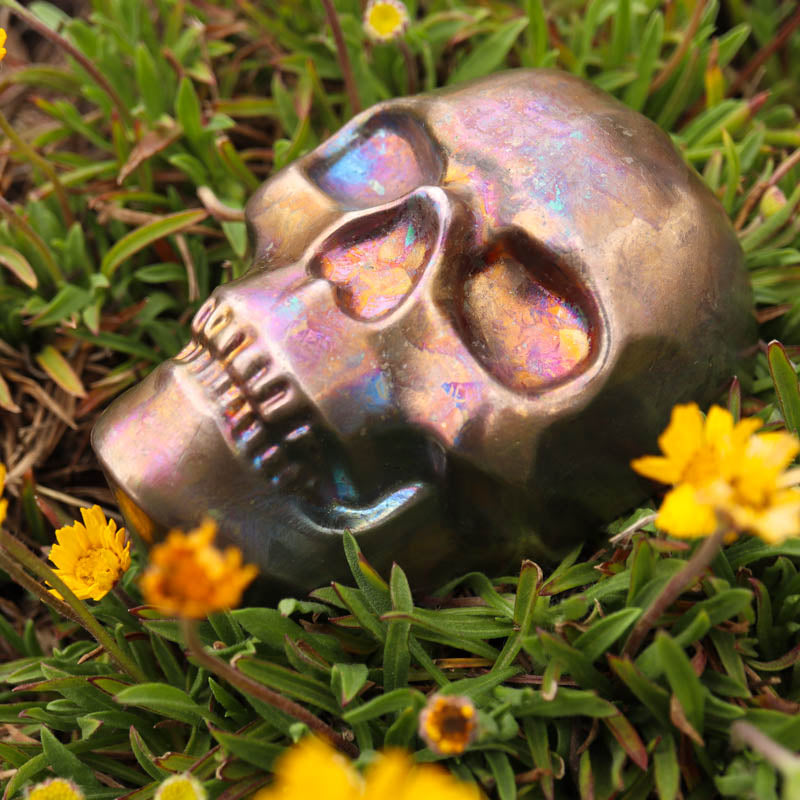 Bismuth Hollow Skull Crystal Skull Aquarius